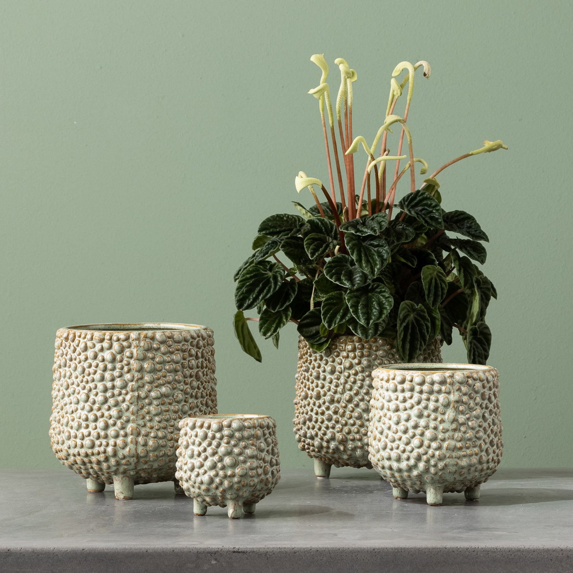 Dots Steingut-Blumentopf